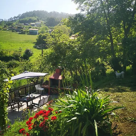 Ohana Campo Hébergement de vacances