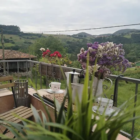 Ohana Campo Hébergement de vacances