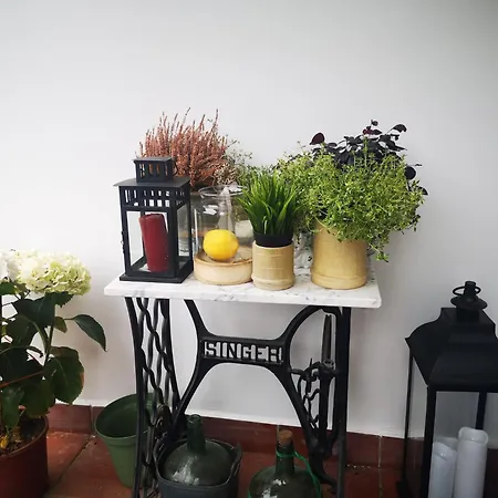 Дом отдыха Ohana Campo